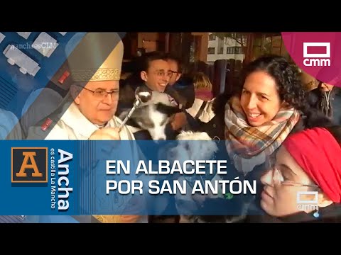 San Antón en Albacete: jornada muy especial para los animales | Ancha es Castilla-La Mancha