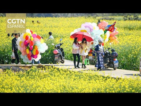 La pintoresca ciudad de Xingyi atrae a visitantes con placeres campestres y retiros de bienestar