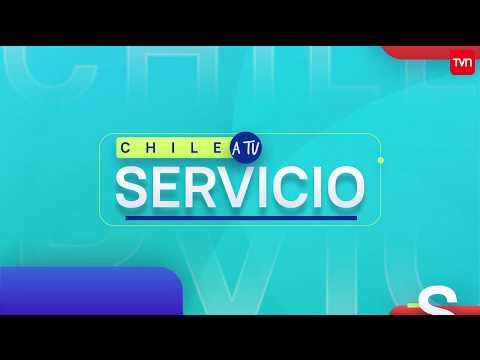 Chile a tu servicio: Súmate a las distintas organizaciones que brindan ayuda en esta pandemia