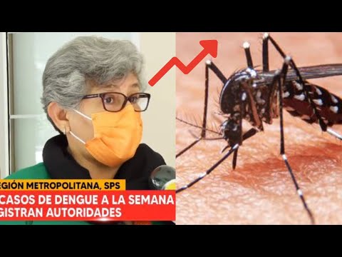 27 casos de dengue A LA SEMANA