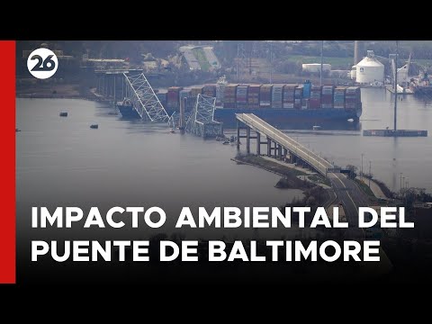 EEUU | Activistas evalúan el posible impacto ambiental del retiro de escombros del puente