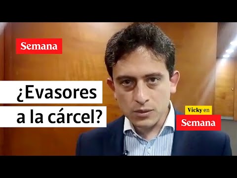 Así combatirá el gobierno Petro la gran evasión de impuestos en Colombia | Semana Noticias