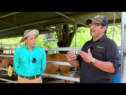 agricultura_Temporada 2024_PROG#13