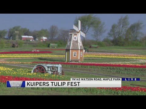 Weekend Break: Kuipers Tulip Fest