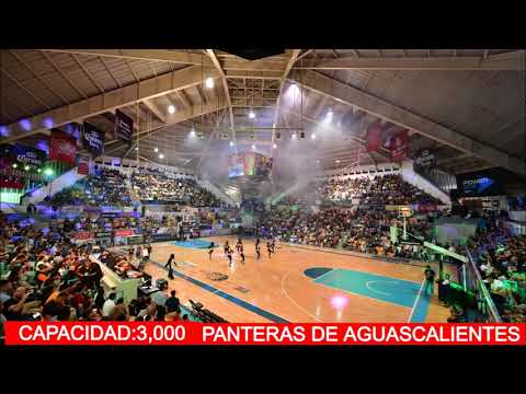 Sólida actuación del baloncelista boricua Georgie Pacheco en México