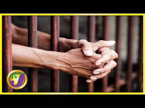 Breaking the Cycle of Crime in Jamaica | TVJ Smile Jamaica