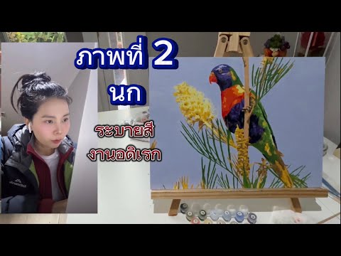 ภาพที่2นกแก้วระบายสีงานอดิ