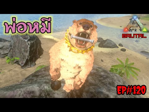 ARK-Mobile-EP.120-จับหมีไปบุกเ ARK-Mobile-EP.120-จับหมีไปบุกเ