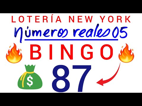 BINGO de HOY (( 87 )) loteria NEW YORK de HOY/ PREMIO MAYOR/ NÚMEROS de DINERO para HOY