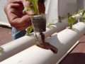 Ноу-Хау: sistema de cultivo hidropónico casero NFT