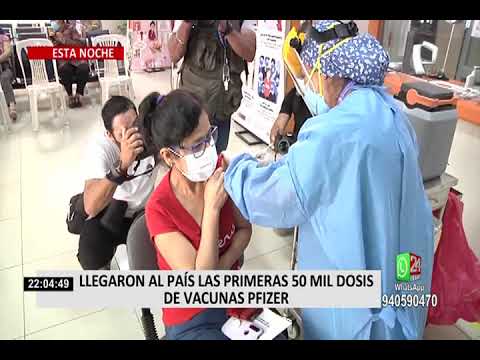 Vacunas Pfizer: primer lote de 50 mil vacunas llegó al Perú