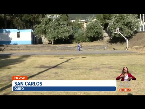 Un árbol a punto de caer representa un gran peligro para vecinos de San Carlos, en Quito