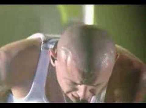 Points of authority live in london