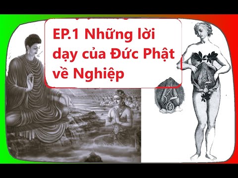 EP.1NhữnglờidạycủaĐứcPhậ