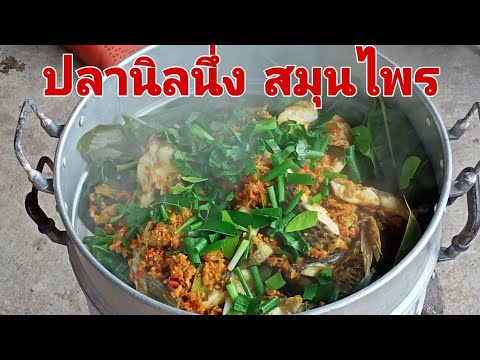 ปลานิลนึ่ง-สมุนไพร-EP.64-by-คร ปลานิลนึ่ง-สมุนไพร-EP.64-by-คร