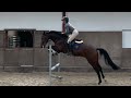 Springpferd Super knap en getalenteerd jong springpaard te koop!