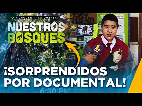 Escolares reaccionan a documental 'Nuestros Bosques' de Latina:Ayuda mucho a reforzar la identidad