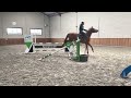 Allrounder 4jarig getalenteerd en chique sportpaard te koop
