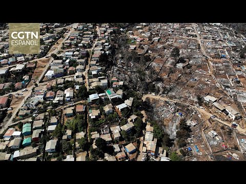 Incendios forestales devastan sectores de la región de Valparaíso