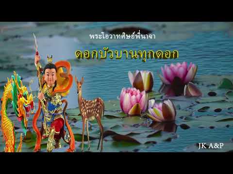 jantra srithawatpong ดอกบัวบานทุกดอก