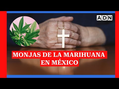 Las monjas de la marihuana en México