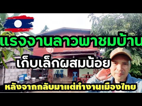 EP.282🇱🇦แรงงานลาวพาชมบ้านหลังจ