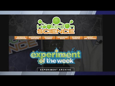 Fun Summer Science Experiments