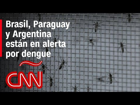 OPS, en alerta por aumentos de casos de dengue en la región