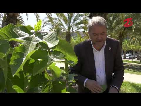 UMH TV - El rector de la UMH visita el Jardín de los Honoris