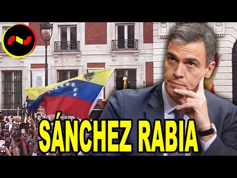 Sánchez RABIA ante la MASIVA MANIFESTACIÓN a favor de Edmodo Gonzalez