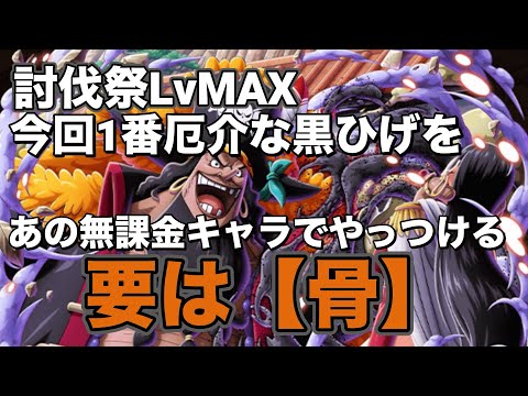 【トレクル】討伐祭LvMAX！厄介な黒ひげ編成を骨に託す！育成にやっては200万ダメージ可能！？