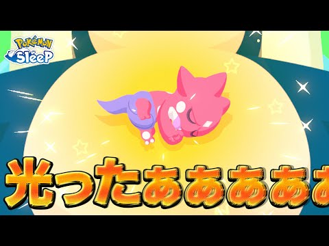 【ポケモンスリープ】これがワカクサEXモードか…！！