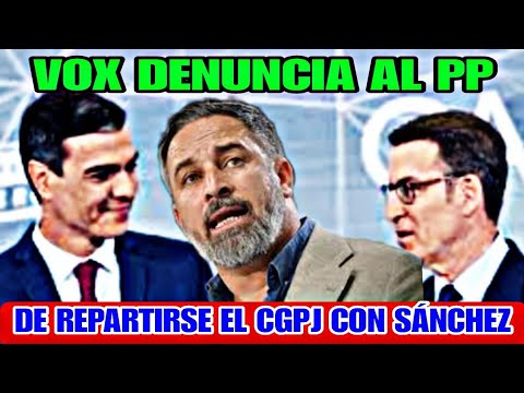 VOX DENUNCIA LA COMPLICIDAD DEL PP CON EL PSOE EN EL REPARTO DEL CGPJ