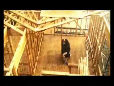 Video: Kai jausmai užvaldo širdį. - 