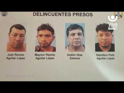 Policía logra captura a sujetos por robo de ganado en Matagalpa