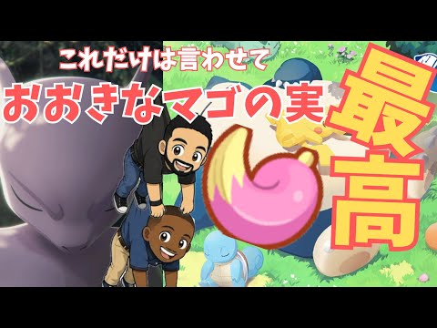 ミュウツーイベント途中経過雑談回！デカいマゴのみは神！【ポケモンスリープ】