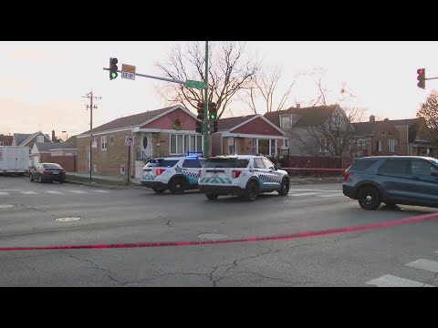 3 dead, 5 injured after shooting in Chicago Lawn: CPD