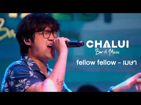 FELLOWFELLOW-เมษาLiveatC