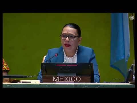 En la ONU, Rosa Icela Rodríguez pide acciones para frenar el tráfico de armas