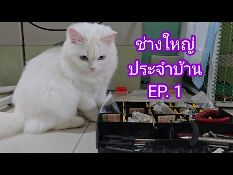 ช่างใหญ่ประจำบ้านEP.1