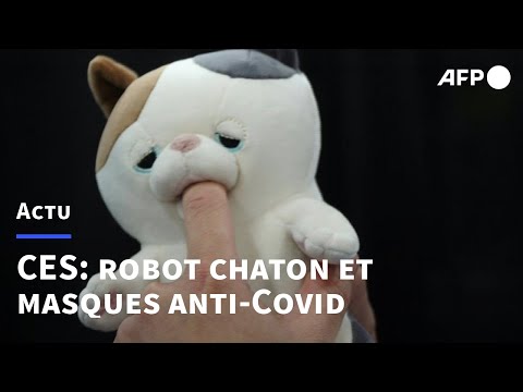 Las Vegas: Robot chaton et masques anti-Covid au salon annuel des technologies | AFP