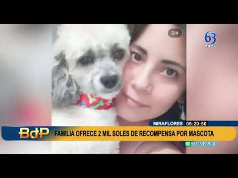 Familia ofrece recompensa de S/2000 para hallar a mascota que escapó de veterinaria