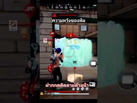 ความหวังของทีมฟีดfreefirefr