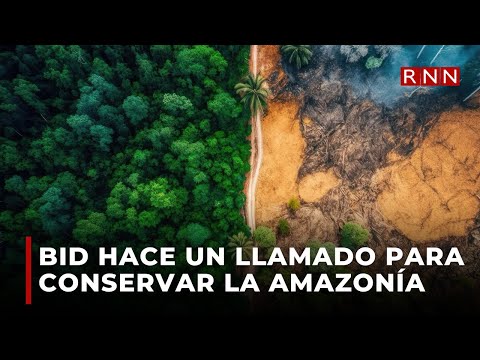 El BID hace un llamado para conservar la Amazonía