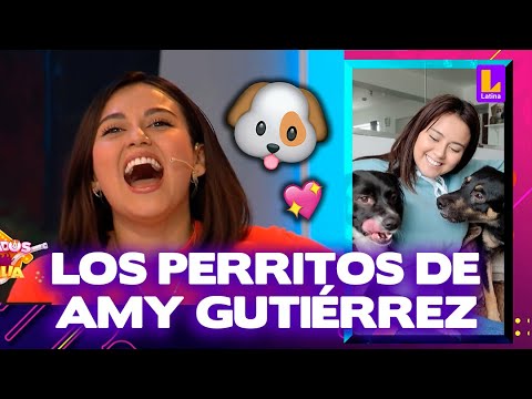Amy Gutiérrez revela los extraños nombres de sus cinco perros | Sábados en Familia