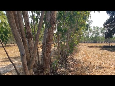 หาอย่าทำในเขตเเดนที่ดินต้อง