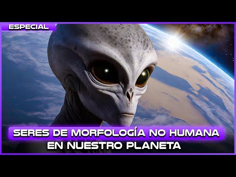 Seres de Morfología No Humana en la Tierra