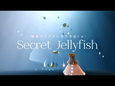 【Sky】隠れたクラゲに会える方法🪼₊˚⊹ +おまけ-How to meet secret jellyfish.