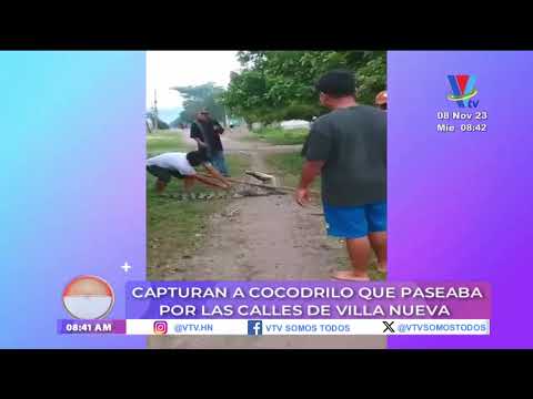 Capturan a cocodrilo que paseaba por las calles de Villa Nueva
