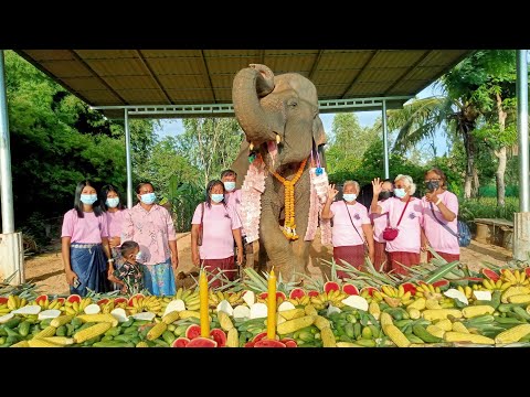 สุขสันต์วันเกิด-แม่มะลิท้อง-๑๘ สุขสันต์วันเกิด-แม่มะลิท้อง-๑๘